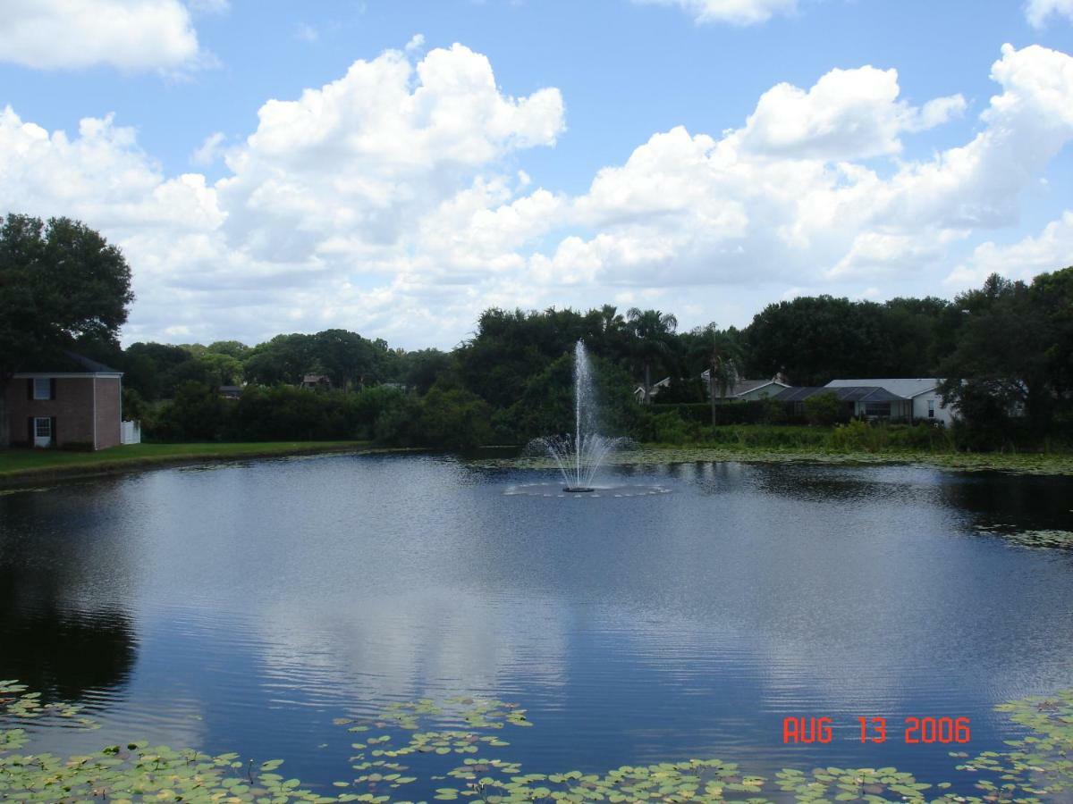 Beautiful Condo Close To Busch Gardens Tampa Exteriör bild